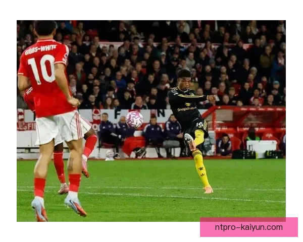 赫尔城MKM主场迎来状态回暖，球队表现值得关注